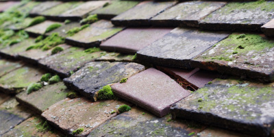 High Street roof repair costs